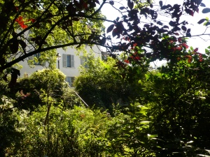 Jardin de Renoir